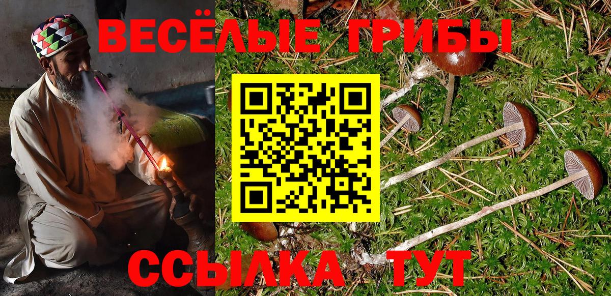 Сибай  Галлюциногенные грибы GOLDEN TEACHER  Галлюциногенные грибы прущие грибы  Вход с VPN 